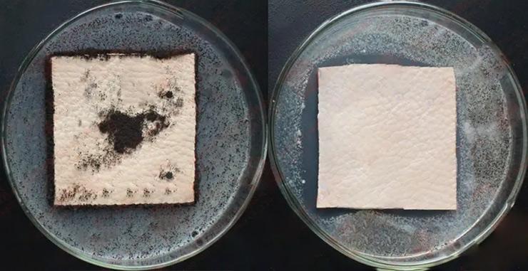佳尼斯防霉剂厂家