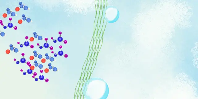 抗菌防臭剂