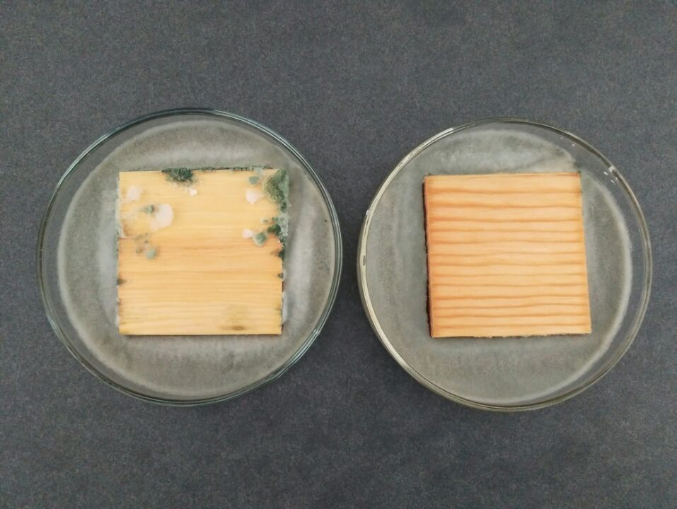 0级防霉