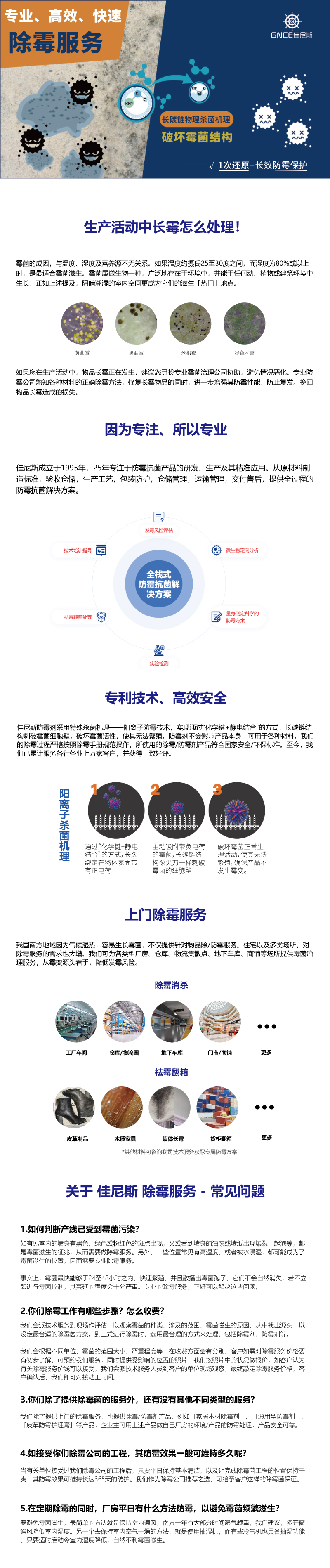 【2024