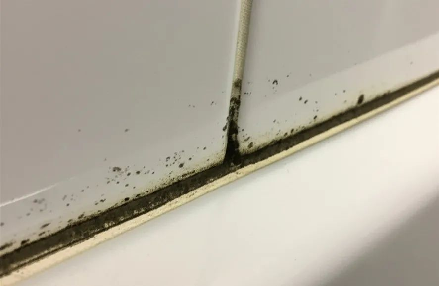 硅酮胶防霉剂